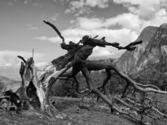 This picture was taken on Regitzer Switzerland. This picture was taken on Regitzer Switzerland.